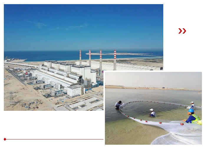 GA黄金甲·(中国区)体育官方网站