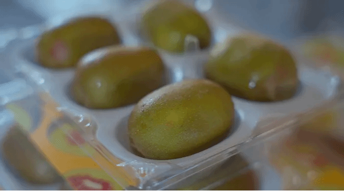 GA黄金甲·(中国区)体育官方网站