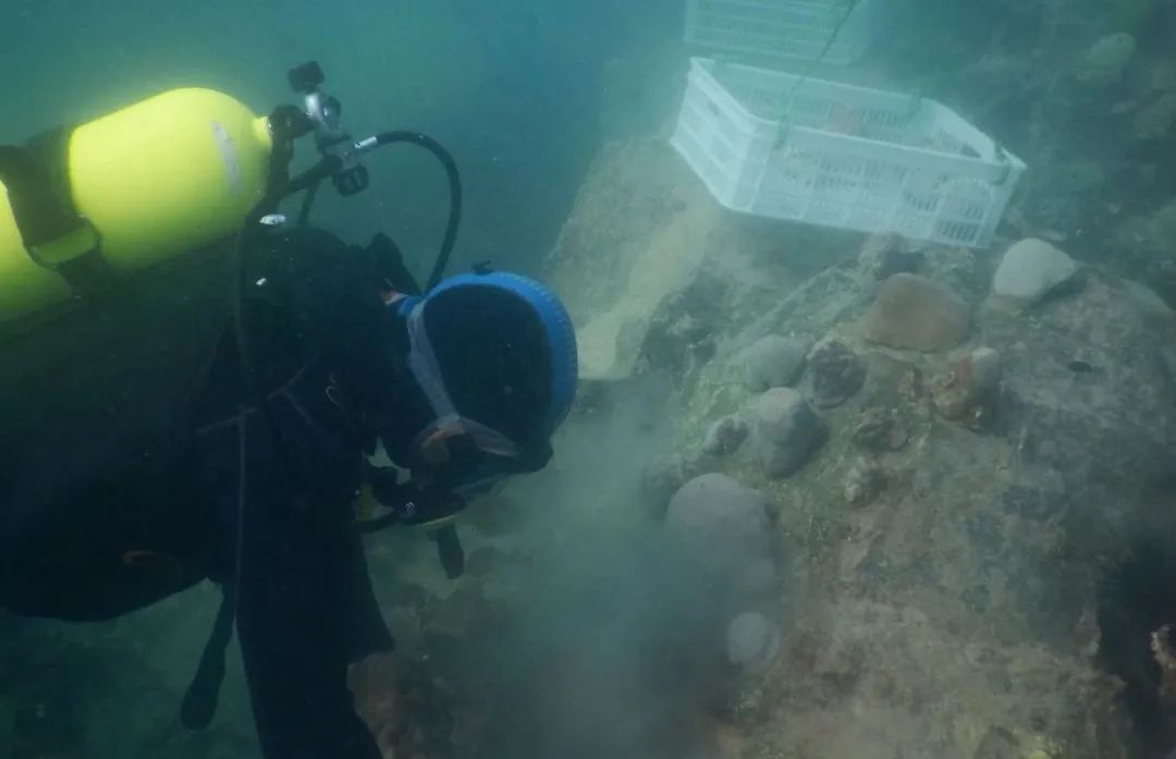 GA黄金甲·(中国区)体育官方网站