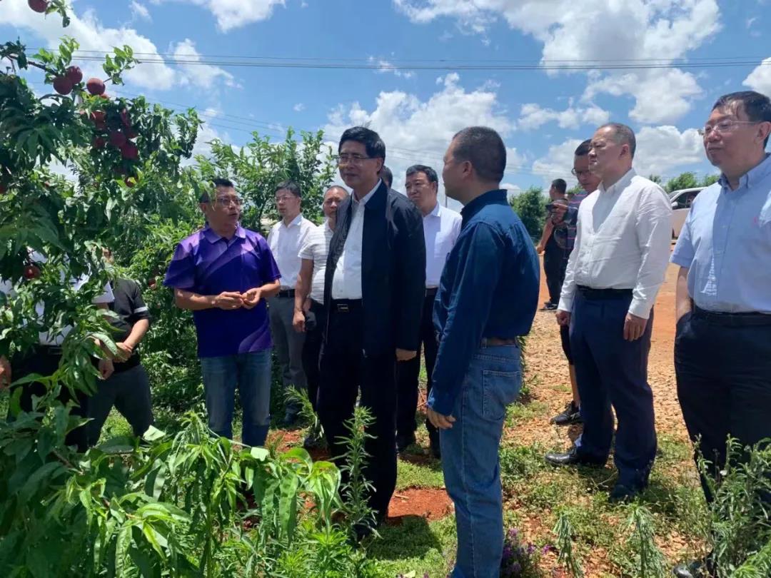 GA黄金甲·(中国区)体育官方网站