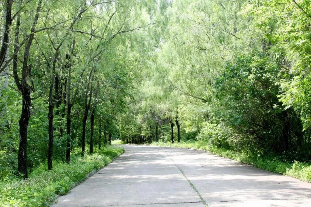 GA黄金甲·(中国区)体育官方网站