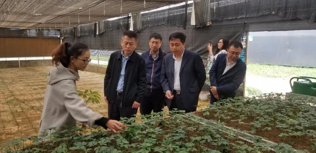 GA黄金甲·(中国区)体育官方网站