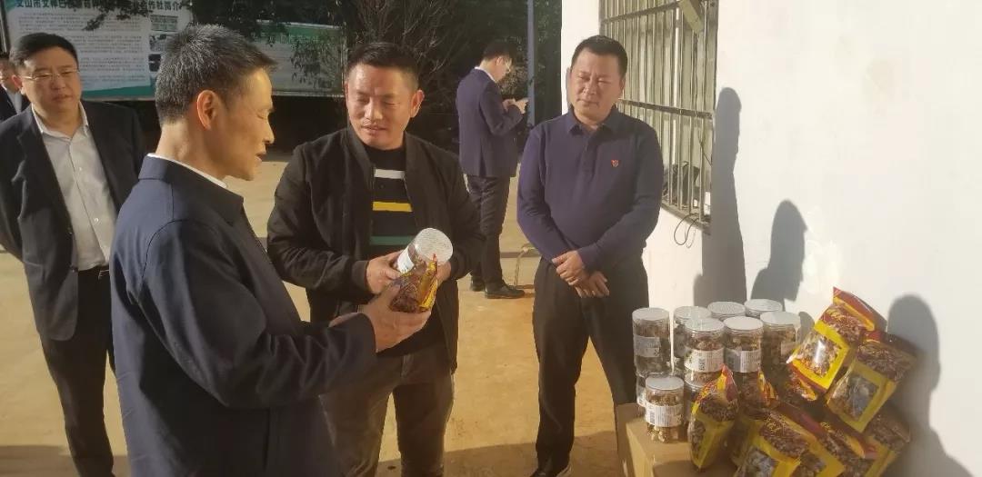 GA黄金甲·(中国区)体育官方网站