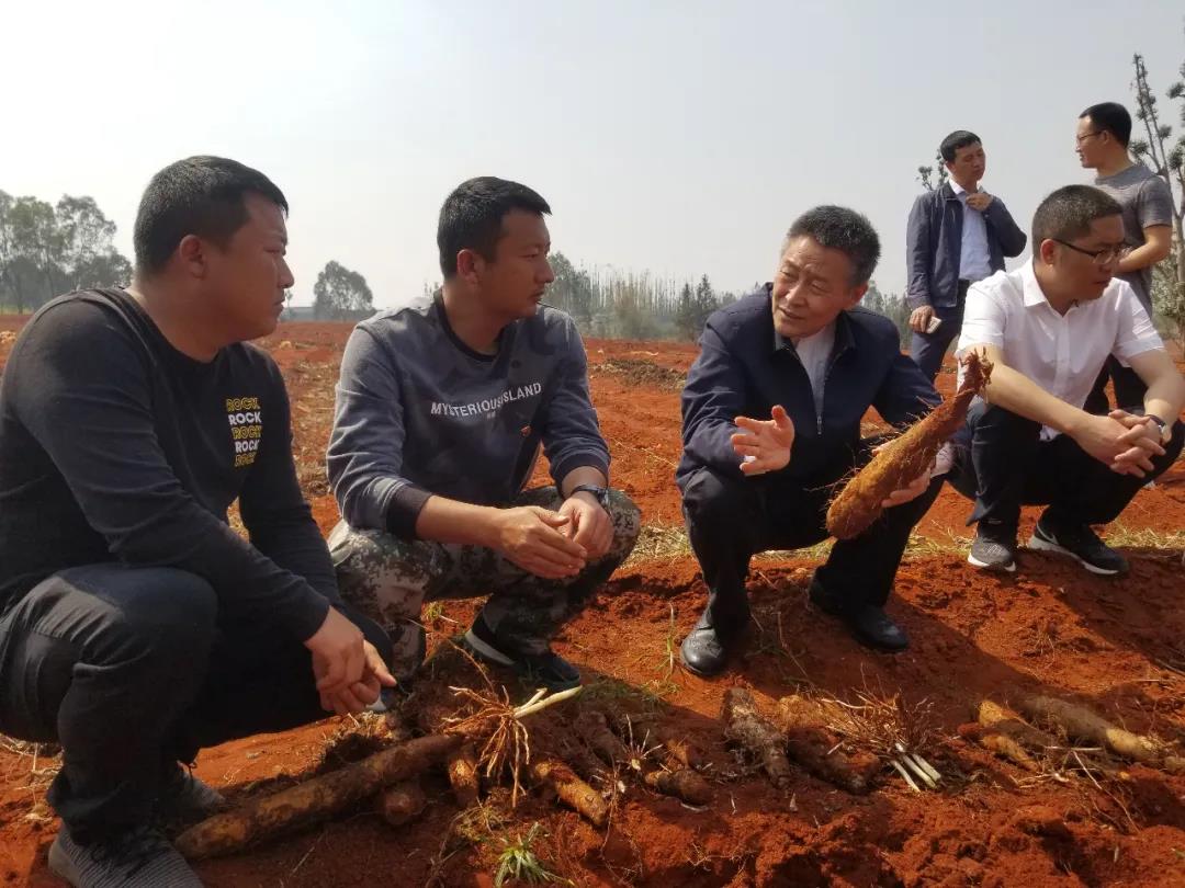 GA黄金甲·(中国区)体育官方网站