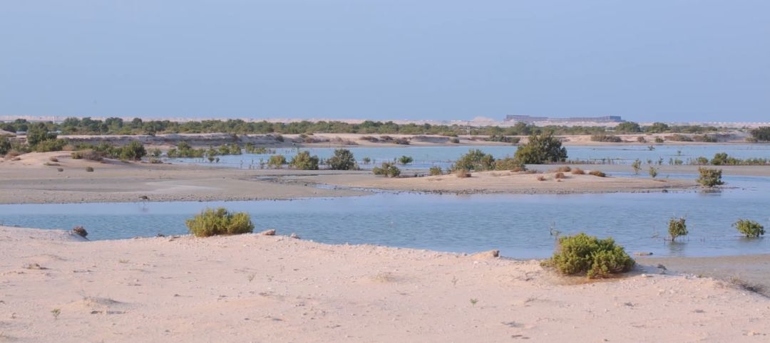 GA�ƽ�ס�(�й���)�����ٷ���վ