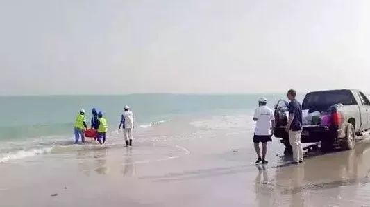 GA�ƽ�ס�(�й���)�����ٷ���վ