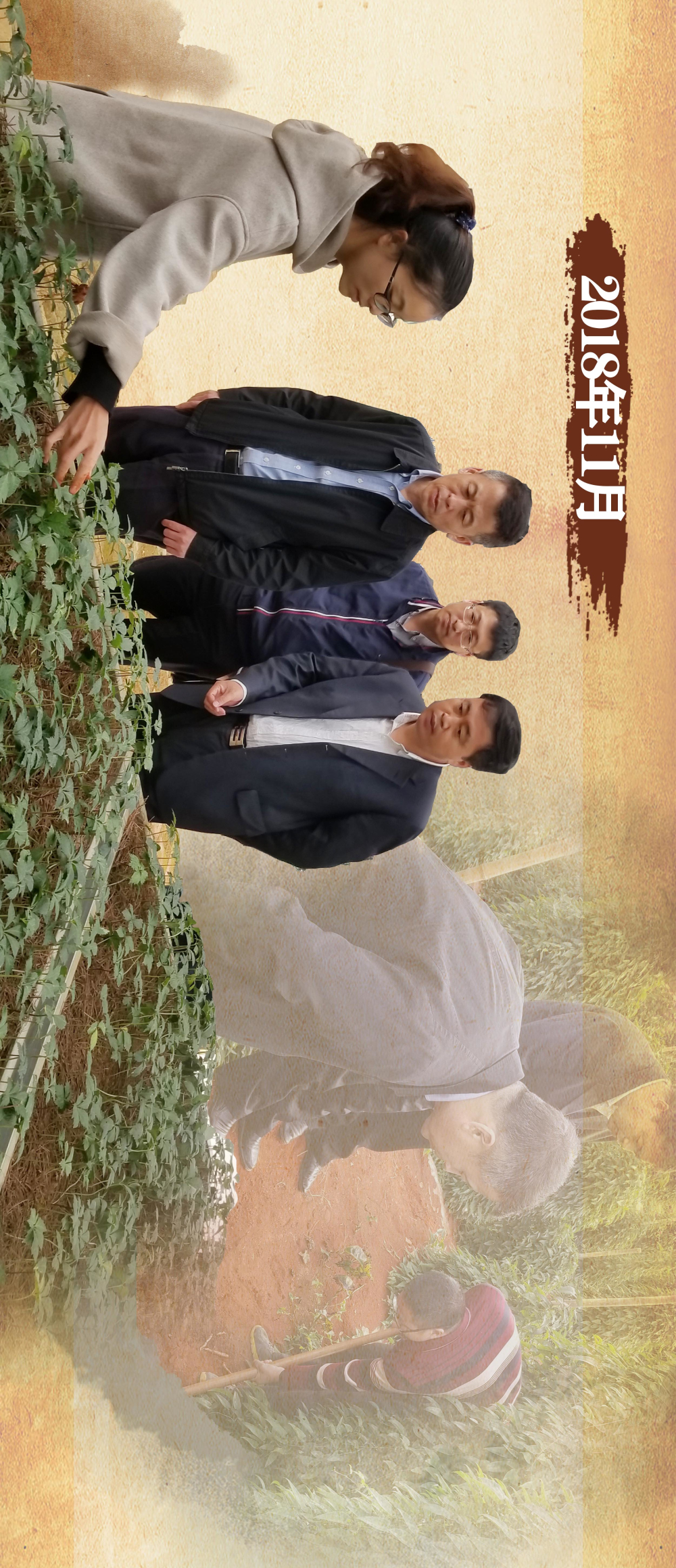 GA�ƽ�ס�(�й���)�����ٷ���վ