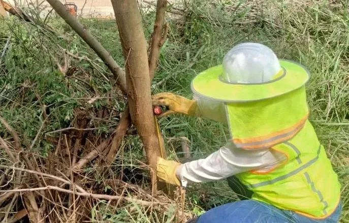 GA�ƽ�ס�(�й���)�����ٷ���վ