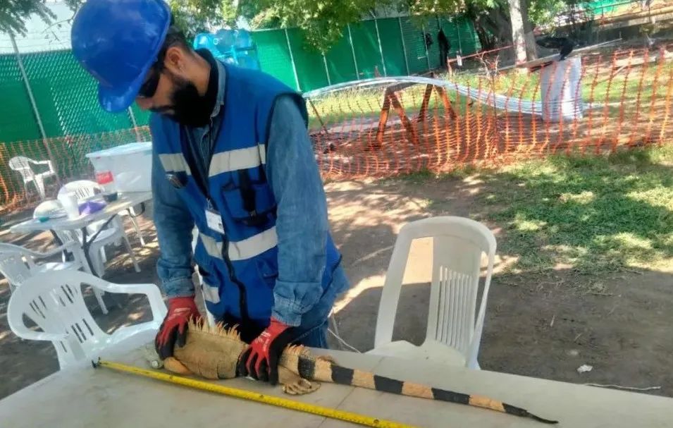 GA�ƽ�ס�(�й���)�����ٷ���վ