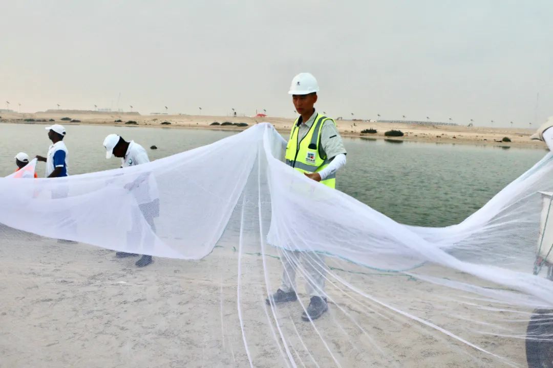 GA�ƽ�ס�(�й���)�����ٷ���վ